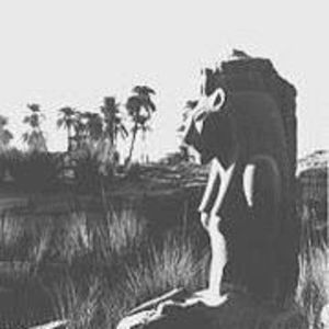 Meet your Posher, Terri